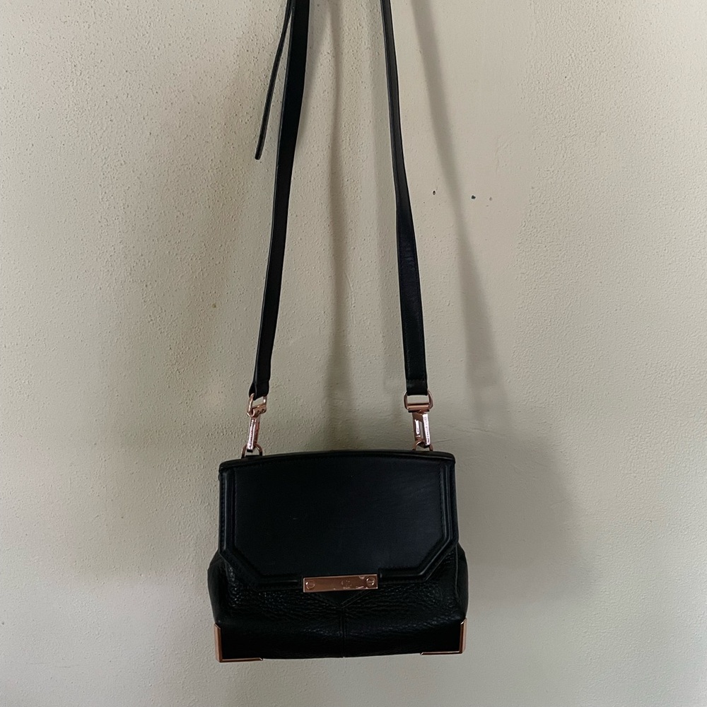 Beautiful Alexander Wang purse.